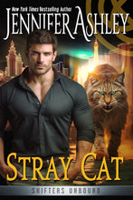 Load image into Gallery viewer, Stray Cat (Shifters Unbound, Book 16) E-book edition